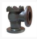 Elems 50 mm Flanged Cast Iron Lift Check Valve (Non Return) Right Angle