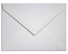 Generic 5 x 7 Plain White Envelope